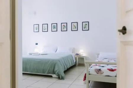 Pangea e Panthálassa B&B - 11