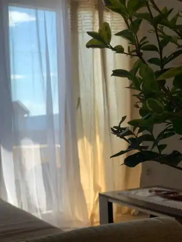Apartman DMA - 18