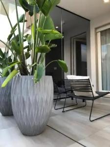 Golden Suites 50 - 12