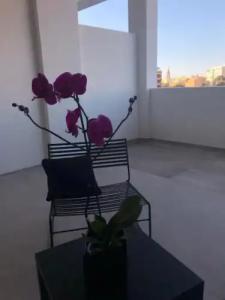 Golden Suites 50 - 8