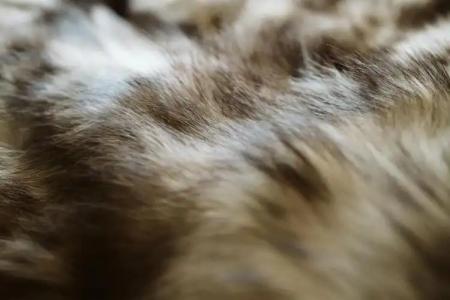 The Harbor Luxury Living - 67