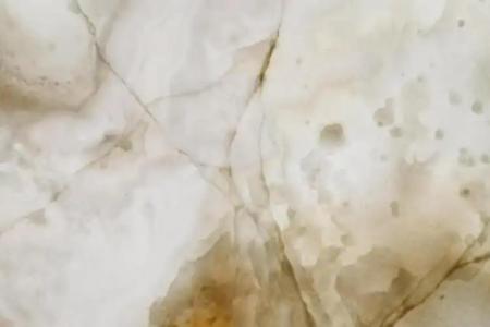 The Harbor Luxury Living - 62