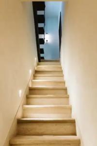 The Harbor Luxury Living - 22