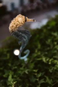 The Harbor Luxury Living - 29