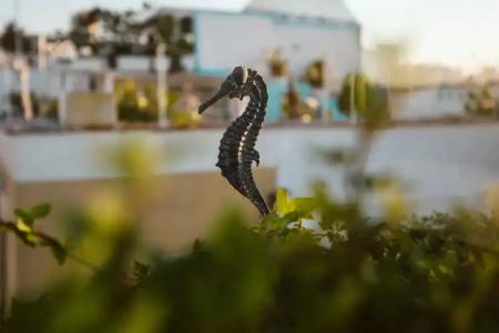 The Harbor Luxury Living - 33