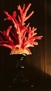 The Harbor Luxury Living - 23