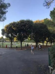 B&B Parco 2 Giugno - 0