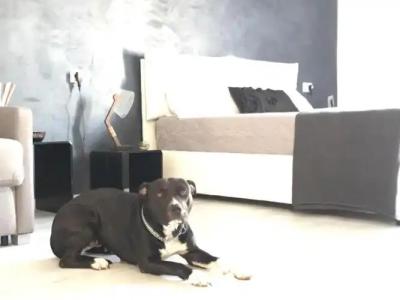 B&B Le Stanze Al Centro - 15