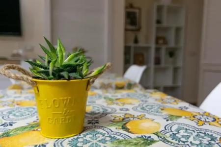 Apollo Bed & Breakfast - 10