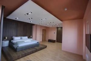 Elite Pogradec, Pogradec