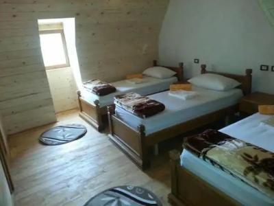 Bujtina Berishta - 21