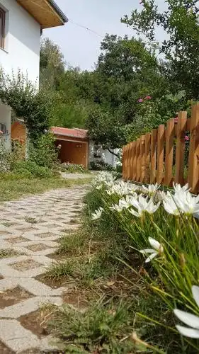 Agroturizem Marku - 86