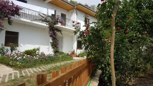 Agroturizem Marku - 91