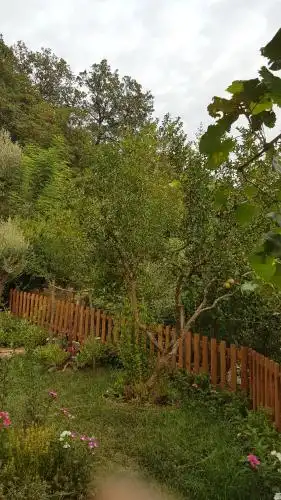 Agroturizem Marku - 92