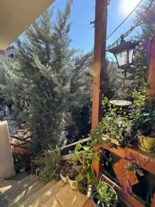 Shkodra Guesthouse - 28