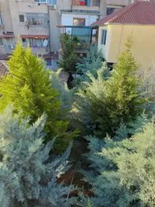 Shkodra Guesthouse - 30