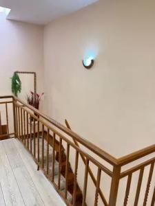 Shkodra Guesthouse - 37