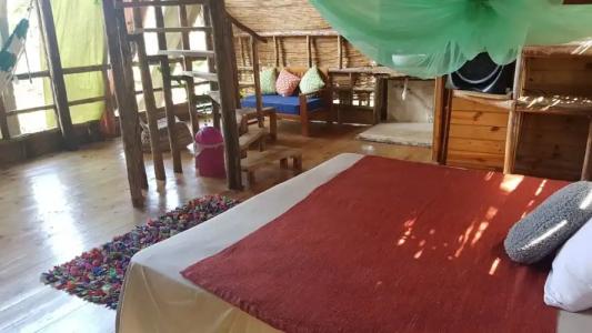 Cabarete Boutique Ecolodge Beachfront - 61