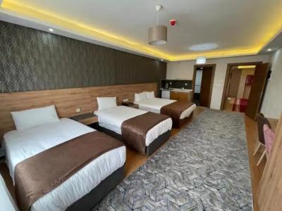 Van Diana Otel - 28