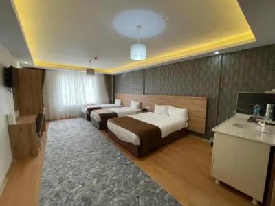 Van Diana Otel - 27