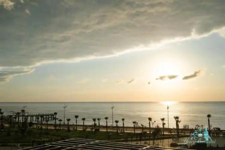 Your Beach Tower - 50