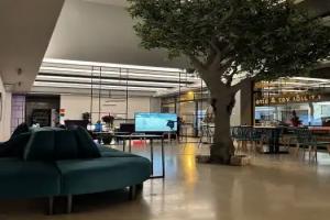 Art of Living - Hostel, Athens