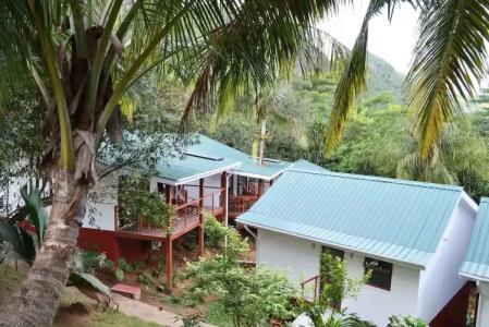 Cashew Nut Grove Chalets - 7