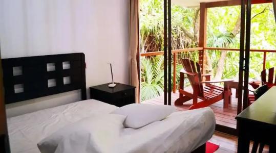 Cashew Nut Grove Chalets - 1