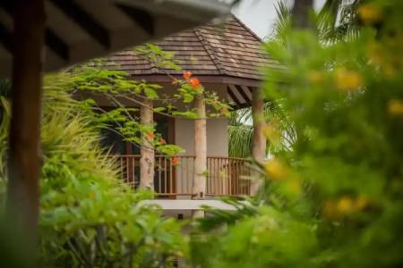 Les Lauriers Eco - 15