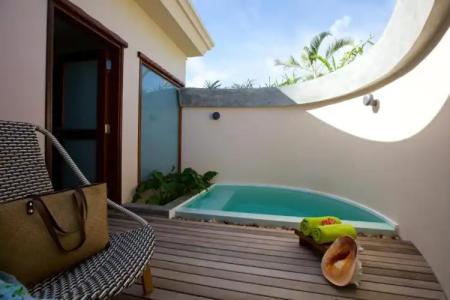 Les Lauriers Eco - 17