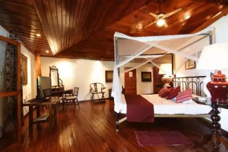 Chauve Souris Relais - 3