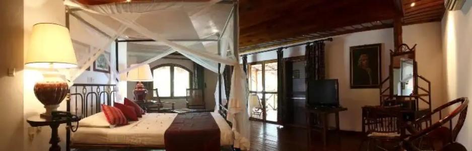 Chauve Souris Relais - 25