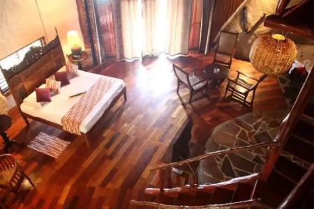 Chauve Souris Relais - 21