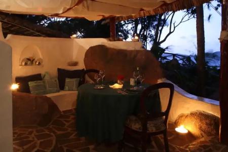 Chauve Souris Relais - 12