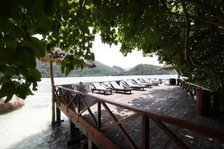 Chauve Souris Relais - 10