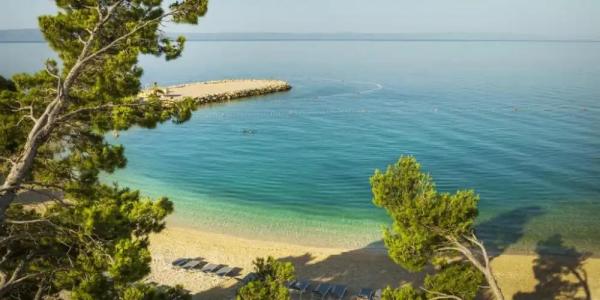 Aminess Laurel Khalani - 36