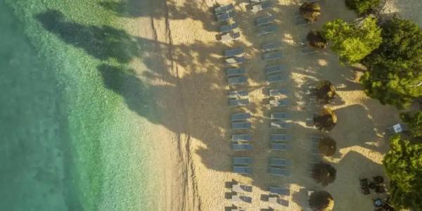 Aminess Laurel Khalani - 35