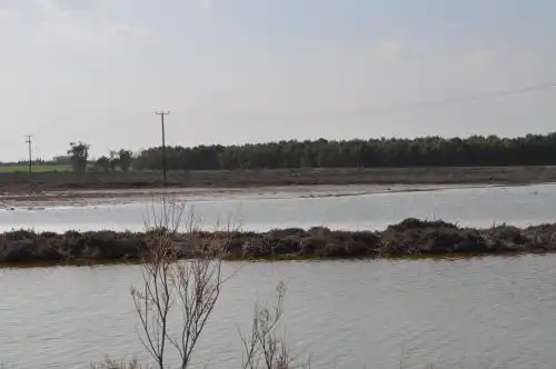 Sunset Garden Villa - 21