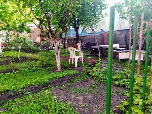 Flora's Guest House - 24