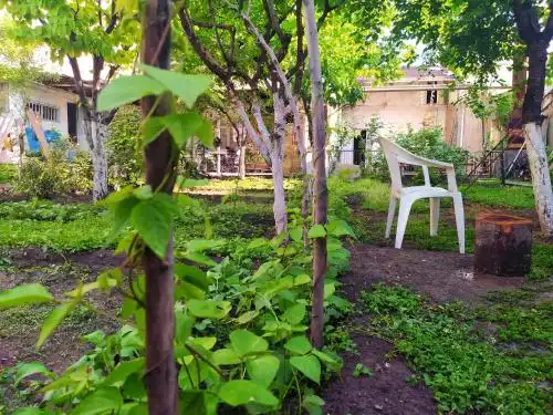 Flora's Guest House - 26