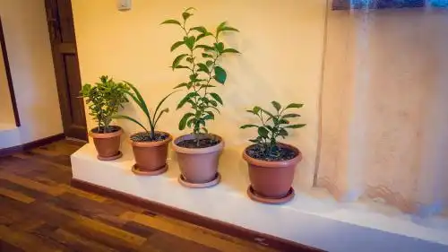 AMOJ B&B and Guest house - 16