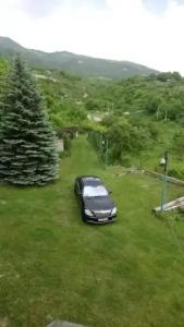 Luse Guest House - 5