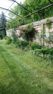 Luse Guest House - 6