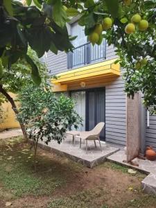 Park Rooms & Apart - 163