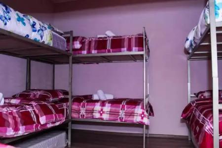 Bee Lucky Hostel and Tours - 15