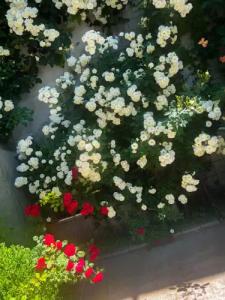 Hillside Guest house - 49