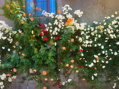 Hillside Guest house - 48