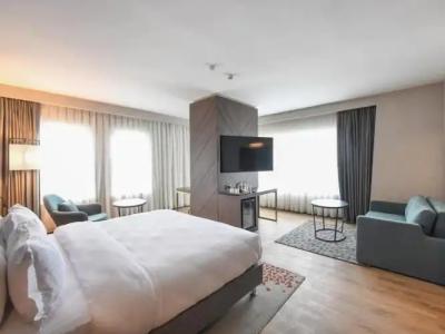 Crowne Plaza ANKARA by IHG - 90