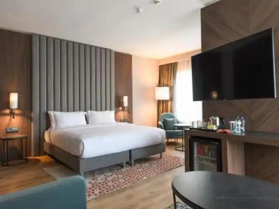 Crowne Plaza ANKARA by IHG - 89