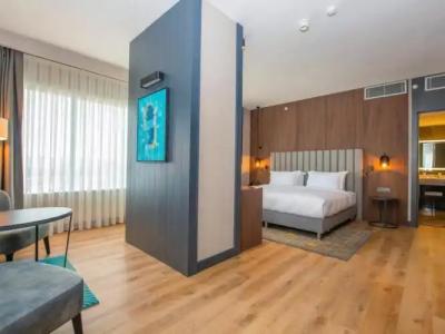 Crowne Plaza ANKARA by IHG - 93